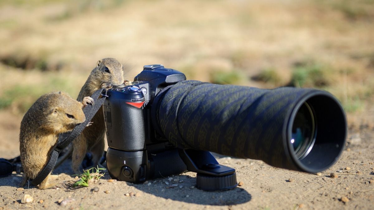 7 photography myths you should stop believing